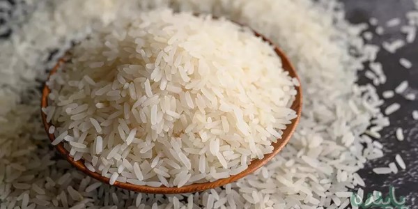 تصویر 3 از خرید و قیمت برنج کامفیروز اصفهان + فروش صادراتی